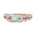 Rainbow Trout Fish Dog Collar - plastic silver