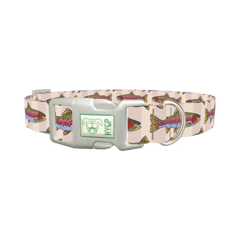 Rainbow Trout Fish Dog Collar - plastic silver