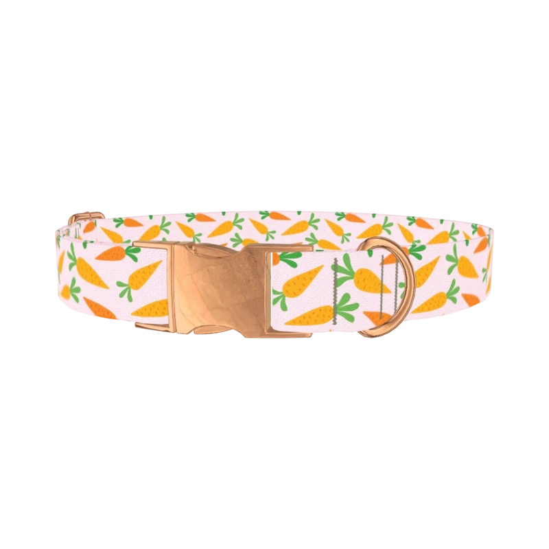 Carrot Garden Dog Collar - metal rose gold