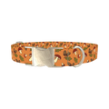 Fall Acorn Mushroom Dog Collar - metal silver