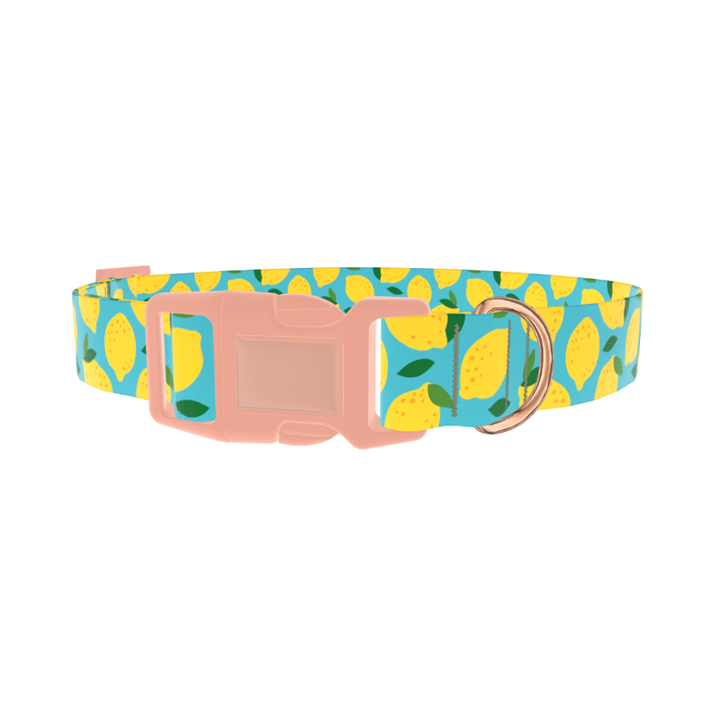 Blue Lemon Pattern Dog Collar - plastic rose gold