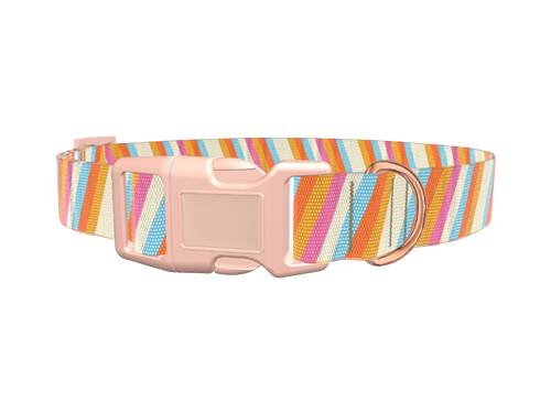 Colorful Diagonal Stripe Dog Collar