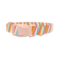Colorful Diagonal Stripe Dog Collar - plastic gold