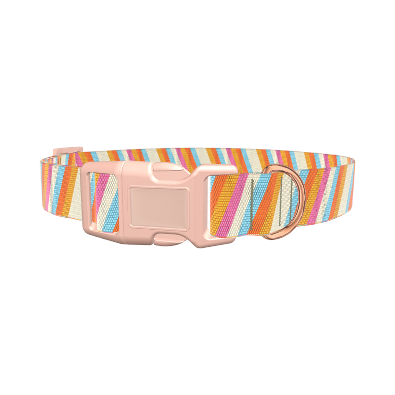 Colorful Diagonal Stripe Dog Collar - plastic gold