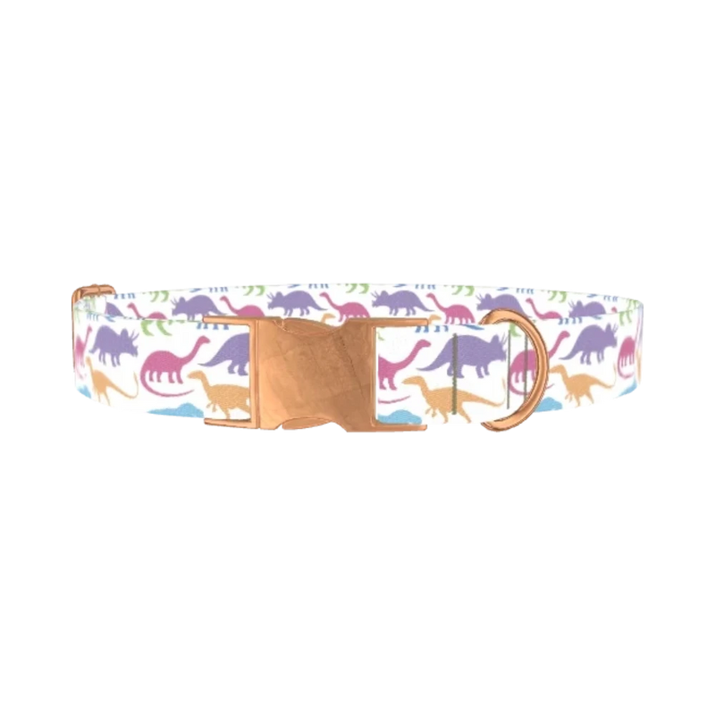 Colorful Dinosaur Dog Collar - metal rose gold