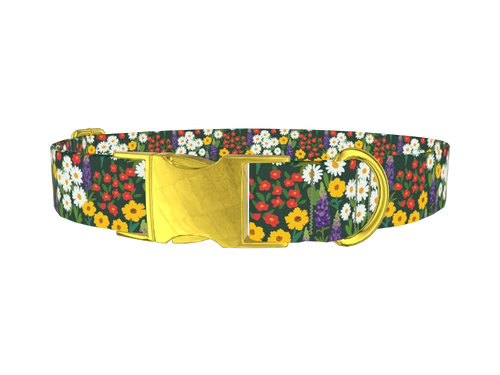 FLORAL_MeadowDaisy