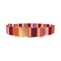 Warm Stripe Dog Collar - metal rose gold