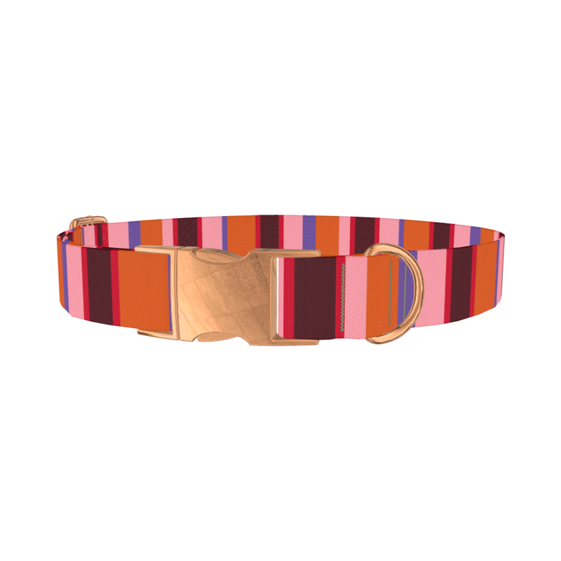 Warm Stripe Dog Collar - metal rose gold