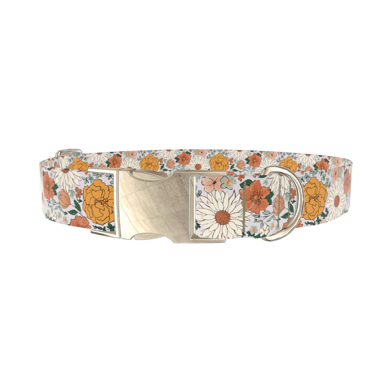 Colorful Floral Dog Collar - metal silver