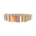 Rainbow Stripe Dog Collar - metal silver