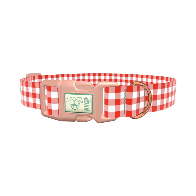 Geometric Plaid Dog Collar - plastic gold