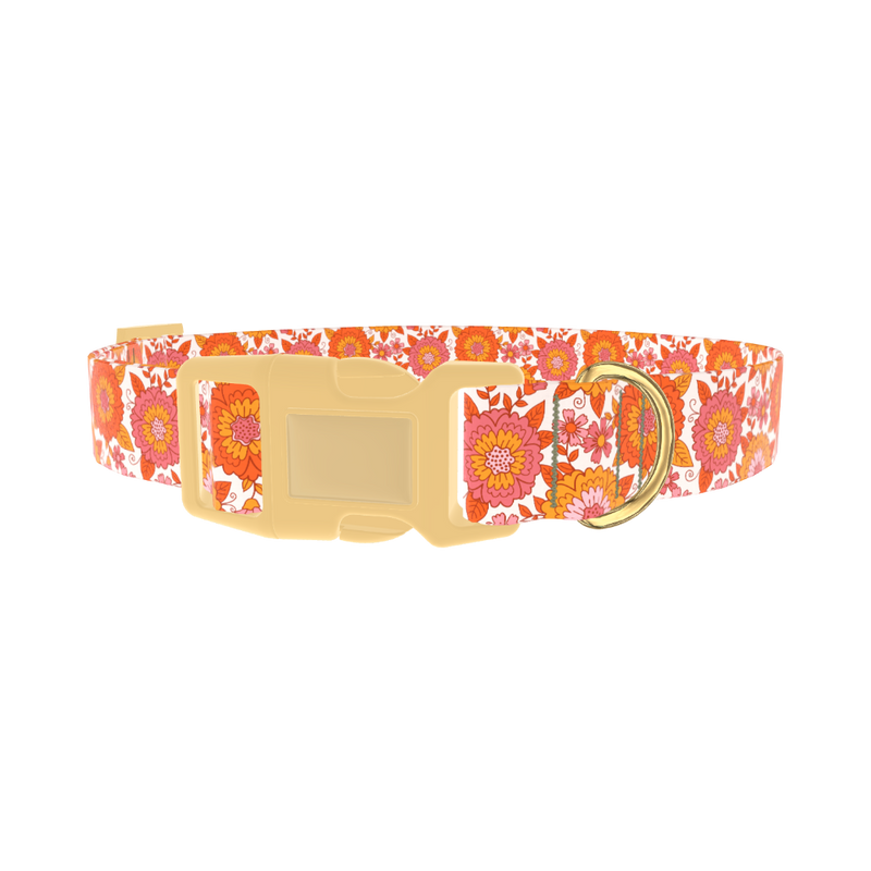 Orange Floral Burst Dog Collar - plastic gold