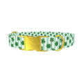 Clover Stripes Dog Collar - metal gold