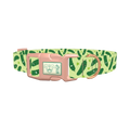 Kawaii Pickles Dog Collar - plastic rose gold