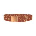 Western Rodeo Dog Collar - metal rose gold