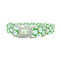 Floral Easter Egg Dog Collar - plastic silver