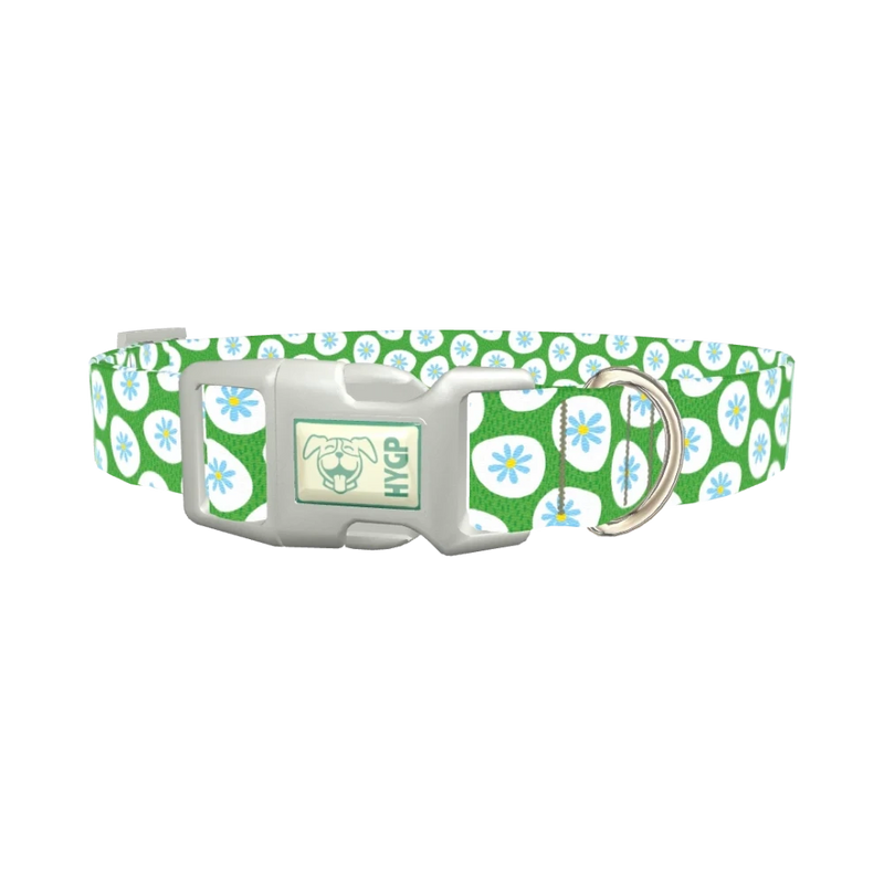 Floral Easter Egg Dog Collar - plastic silver