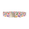 Dinosaur Mix Dog Collar - metal silver