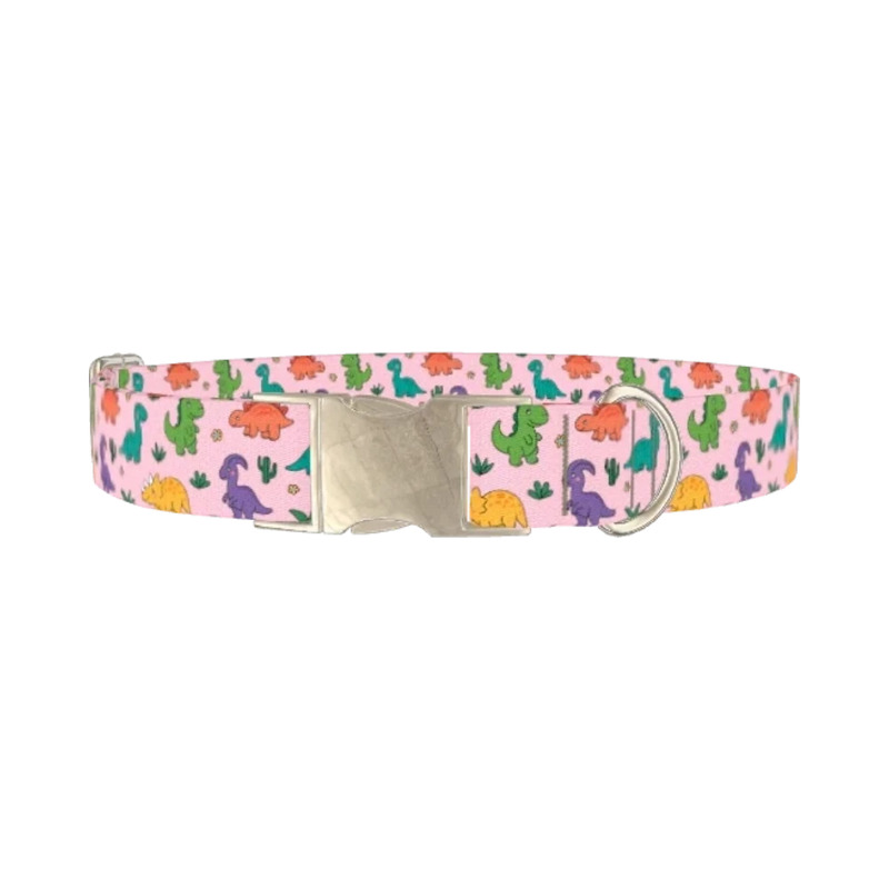 Dinosaur Mix Dog Collar - metal silver