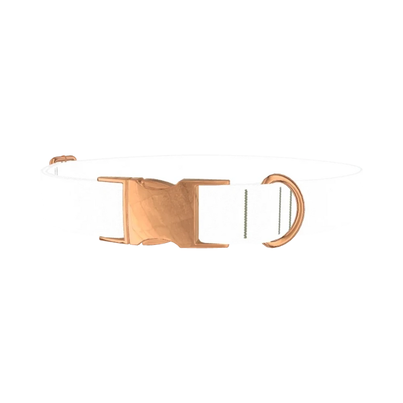Colorful Splatter Dog Collar - metal rose gold