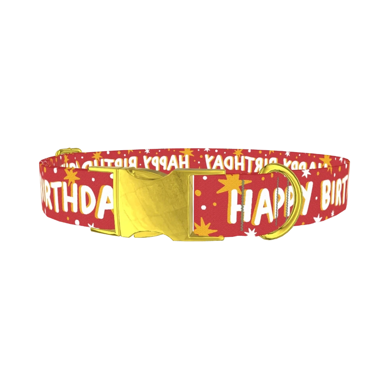 Starry Birthday Dog Collar - metal gold
