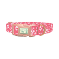 Floral Pink Dog Collar - plastic rose gold