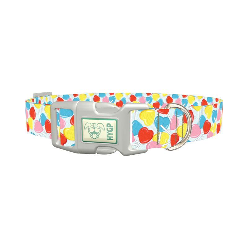 Candy Heart Dog Collar - plastic silver