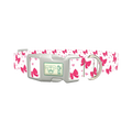 Valentine Heart Ribbon Dog Collar - plastic silver