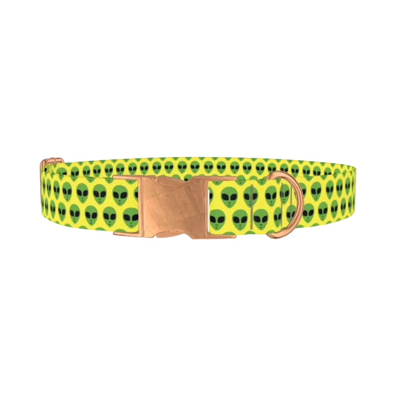 Alien Faces Dog Collar - metal rose gold