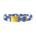Blue Floral Pattern Dog Collar - metal gold
