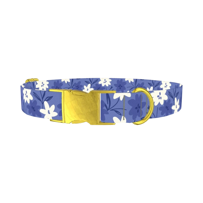 Blue Floral Pattern Dog Collar - metal gold