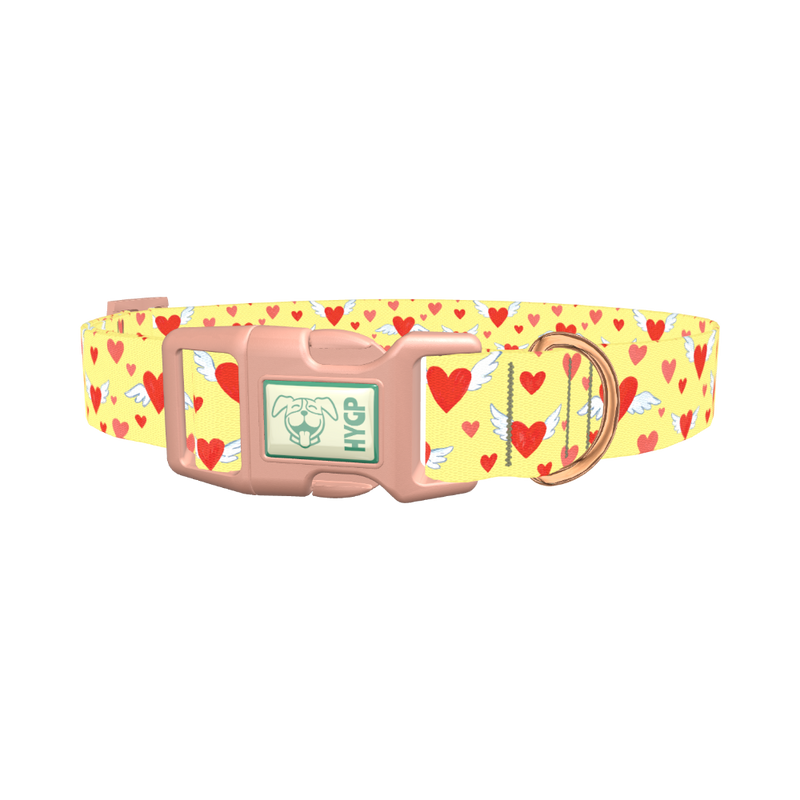 Flying Hearts Dog Collar - plastic rose gold