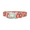 Surfboard Pattern Dog Collar - plastic silver