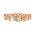 Floral Gerberas Dog Collar - metal silver