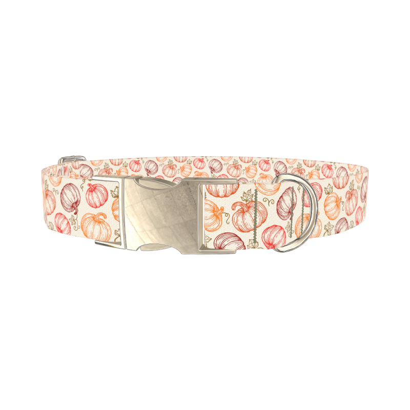 Fall Pumpkin Outline Dog Collar - metal silver