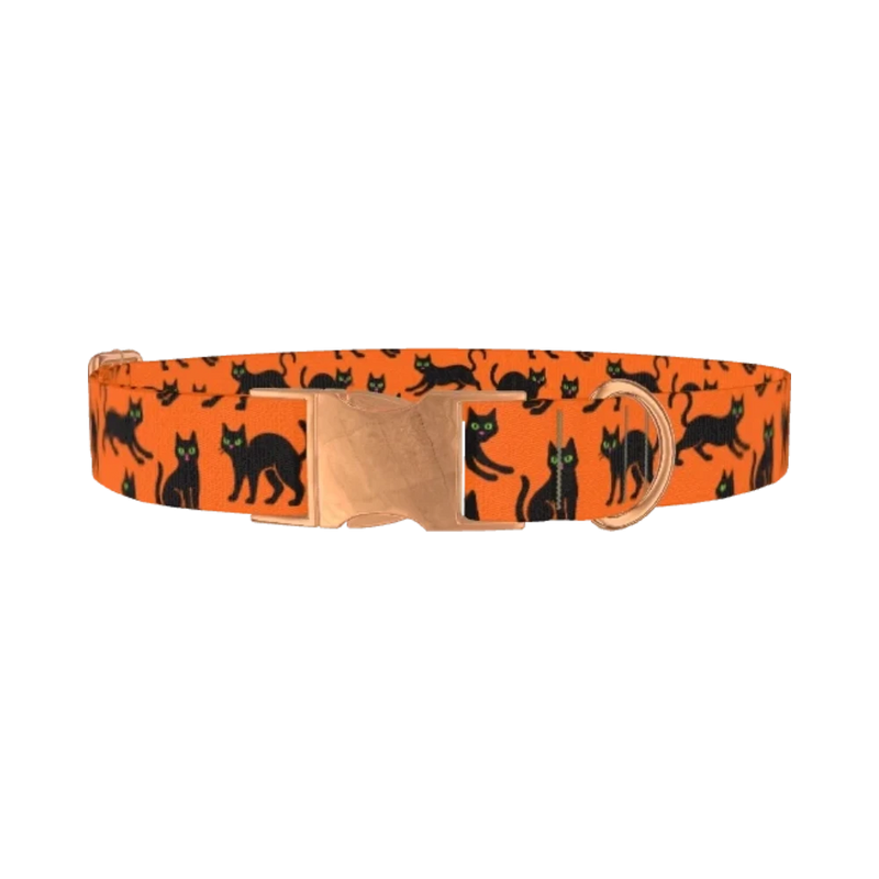 Halloween Black Cat Dog Collar - metal rose gold