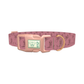 Western Cowboy Dog Collar - plastic rose gold