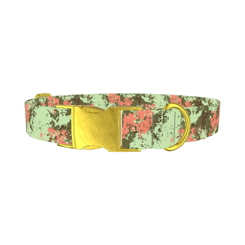 Paint Splatter Dog Collar - metal gold