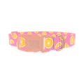 Pink Citrus Burst Dog Collar - plastic rose gold