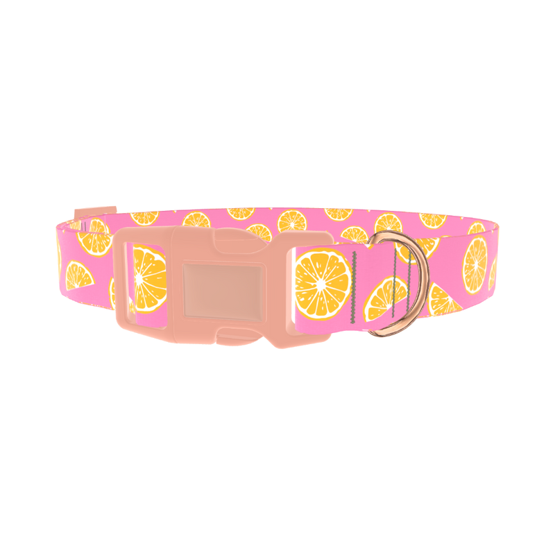 Pink Citrus Burst Dog Collar - plastic rose gold