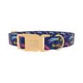 Shooting Stars Dog Collar - plastic gold