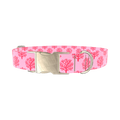 Coral Reef Dog Collar - metal gold