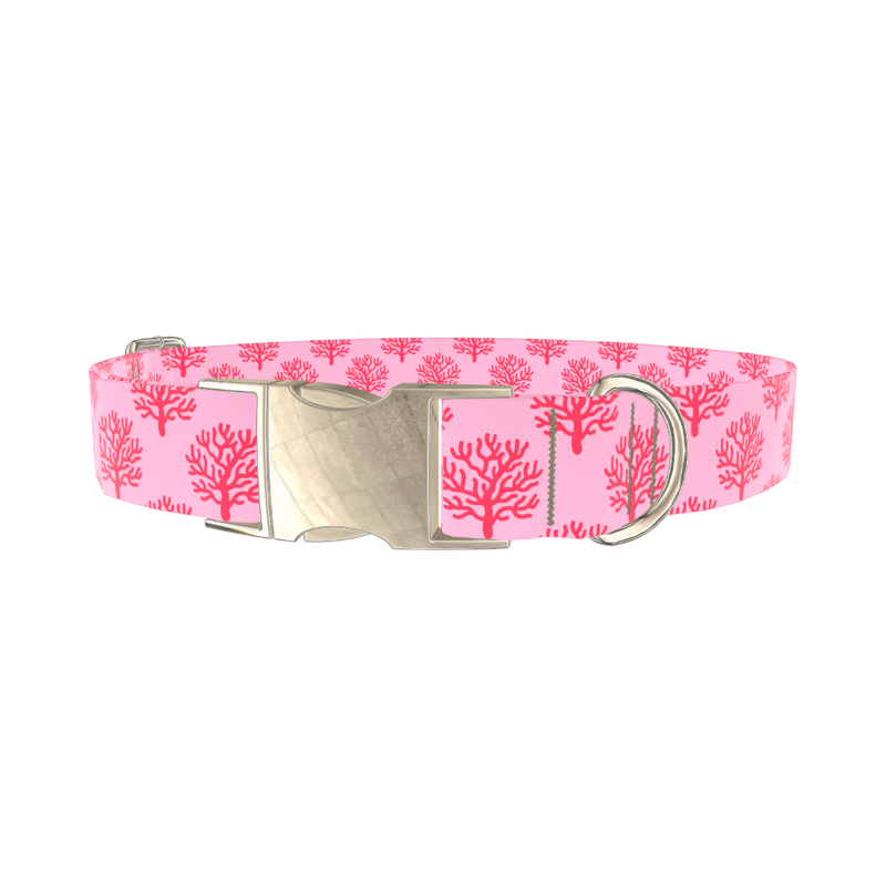 Coral Reef Dog Collar - metal gold
