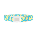 Yellow Bunny Pattern Dog Collar - plastic silver