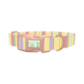 Pastel Stripe Dog Collar - plastic rose gold