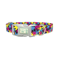 Colorful Leaf Pattern Dog Collar - plastic silver