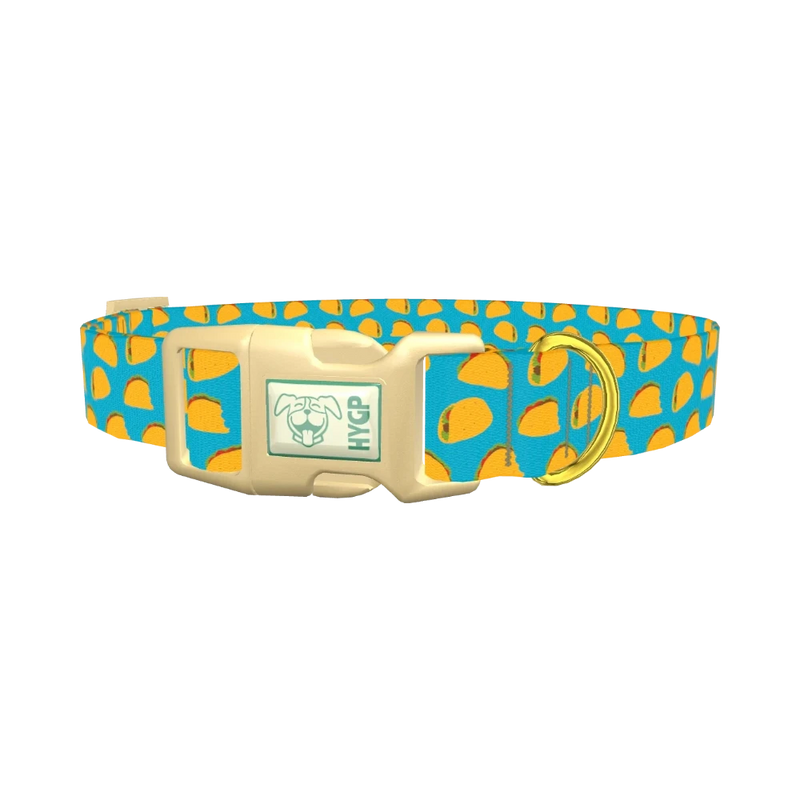 Blue Taco Dog Collar - plastic gold