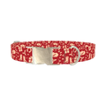 Western Christmas Dog Collar - metal silver