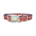 Tropical Jungle Dog Collar - plastic silver