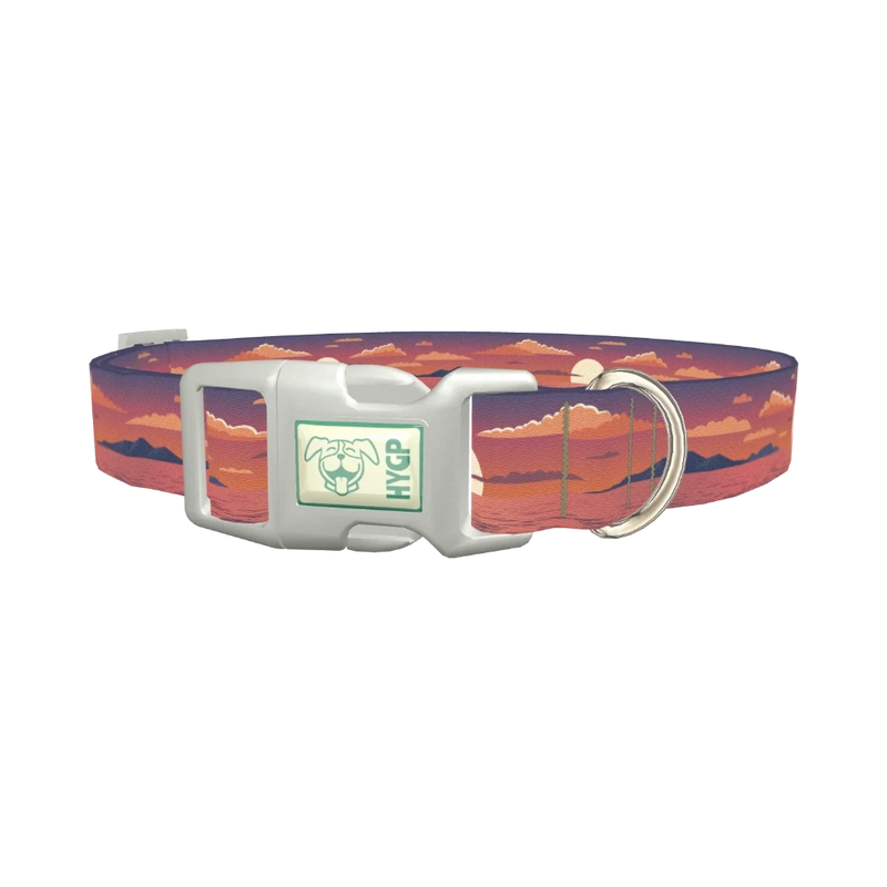 Tropical Jungle Dog Collar - plastic silver